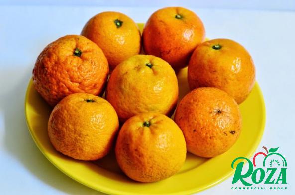 Why Are Sumo Mandarins So Expensive?