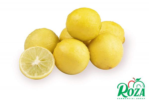 Sour Lemons Fruit Wholesale