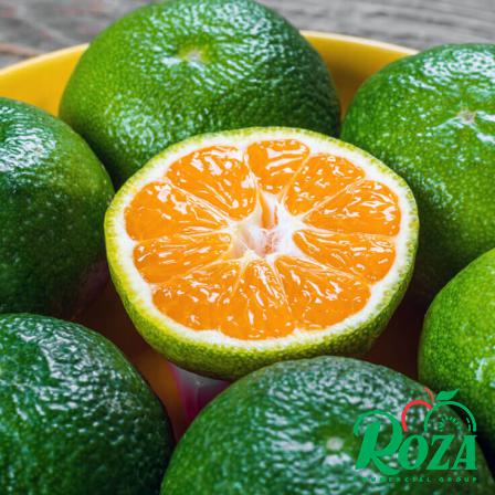 Premium Manufacturer of Green Mandarin Fruit