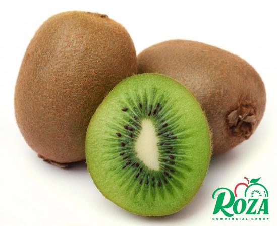 Best Hayward Kiwi Supplier