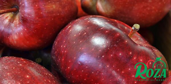 Genuine Manufacturer of High-Quality Red Delicious Apples