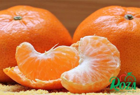 Yellow Mandarin Fruit Production