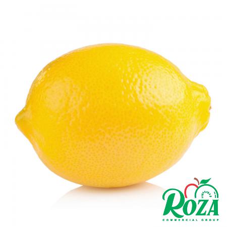  Top Quality Sour Lemons to Export