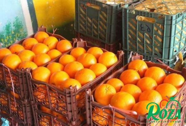 What Are Different Types of Orange Fruits? 