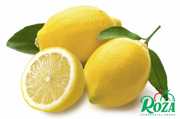 Best Sweet Lemon Fruit at a Lower Price