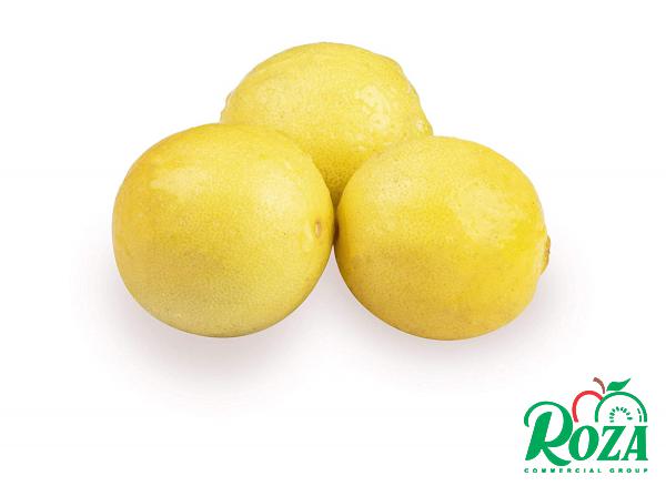  Supplier of Small Lemon Fruit in the Market