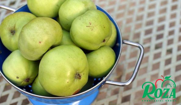 Sour Green Apples for Sale