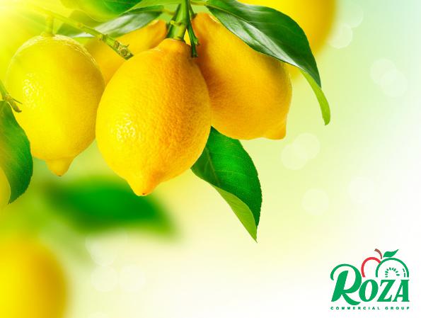 What Is the Sweetest Lemon Tree?