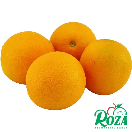 Buy Navel Orange Fruit at the Best Price