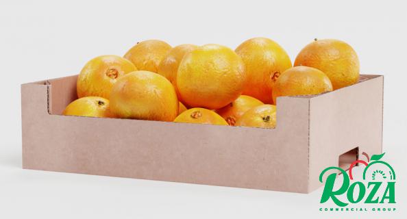 Low Price Offer on Orange Fruit