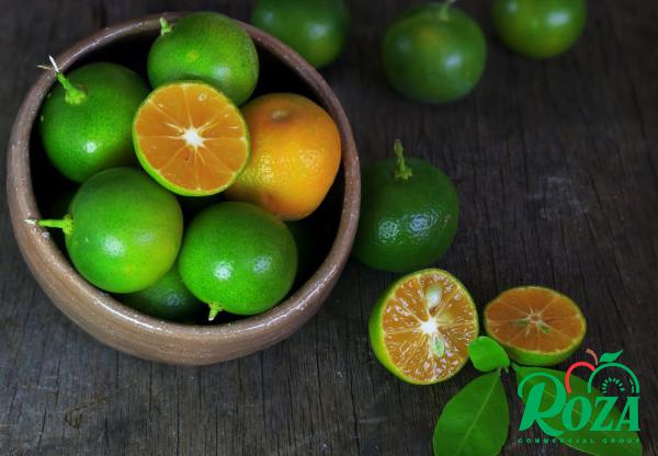 What Are the Different Types of Mandarins?