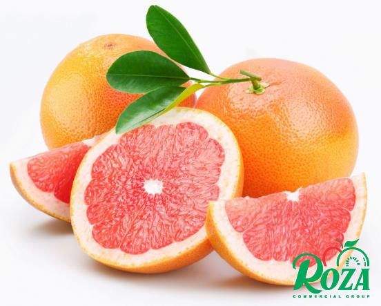 High Quality Pink Grapefruits Producers