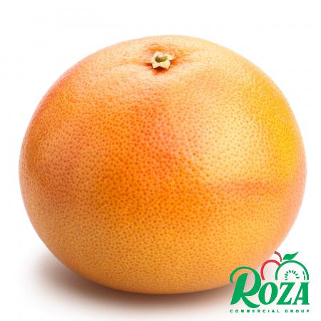 Small Grapefruits at the Best Price