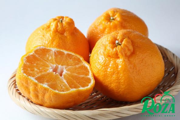 Which Is Bigger, Clementine or Mandarin?