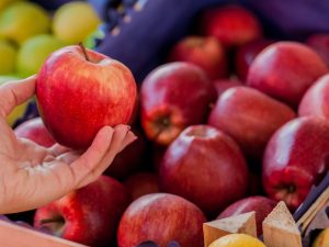 Box of apple price