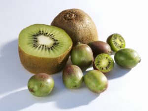 GOLDEN KIWI CALORIES 100G