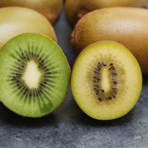 KIWI SORBET