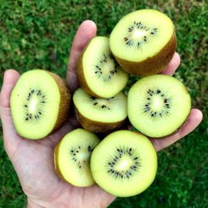 Kiwifruit vitamins