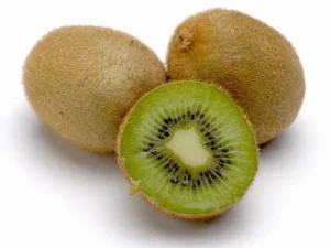 Kiwi fruit plant