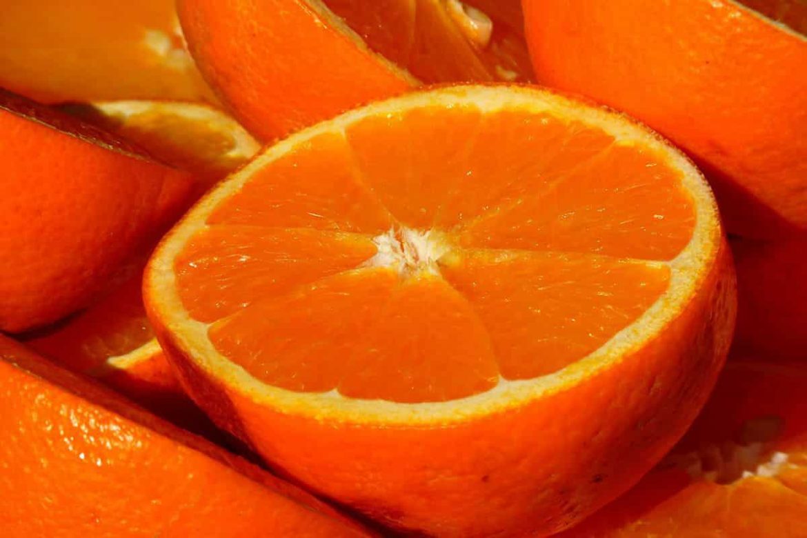 Export quality navel orange