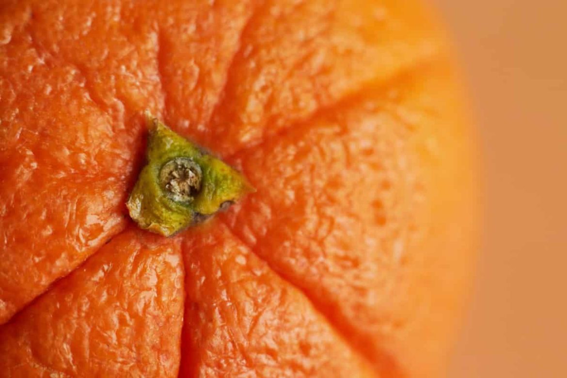 Fresh navel orange for export