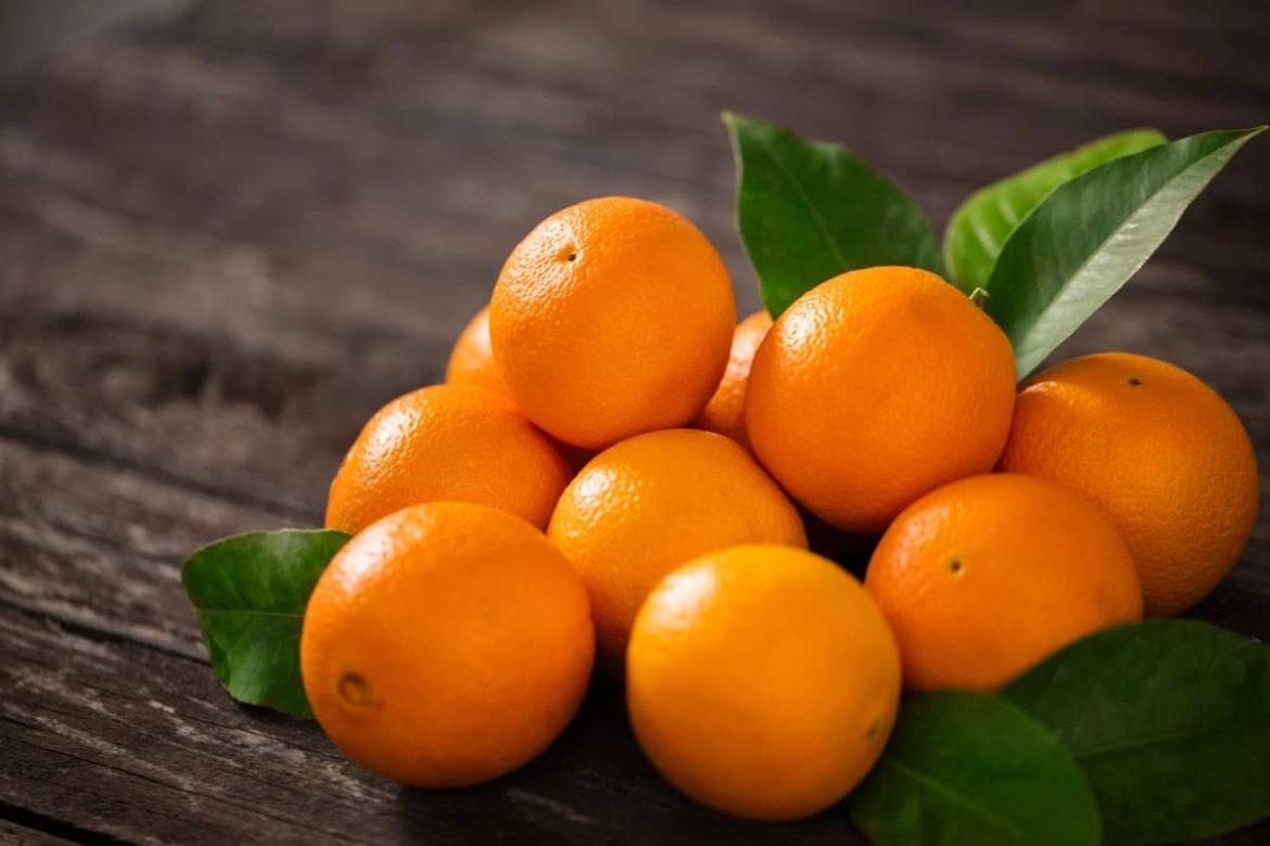 Wholesale price navel orange