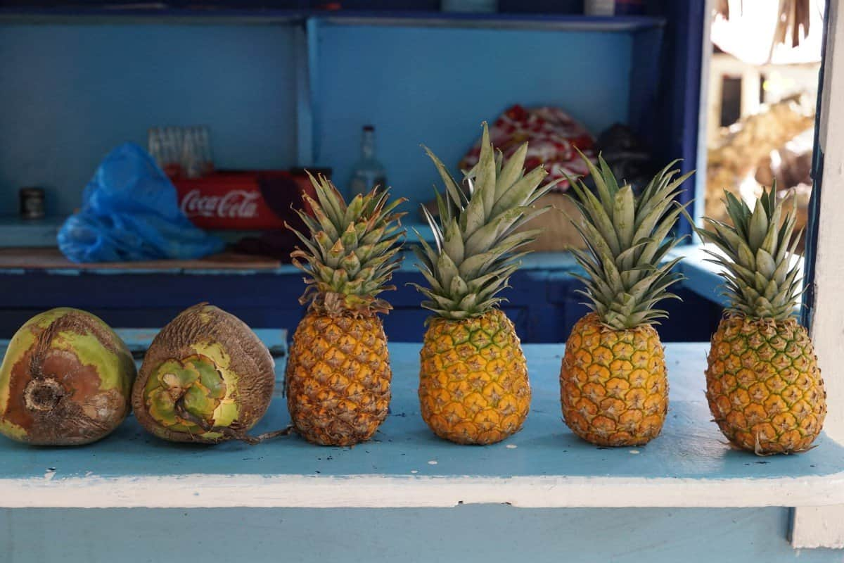  Buy the best types of Hawaii pineapple at a cheap price 