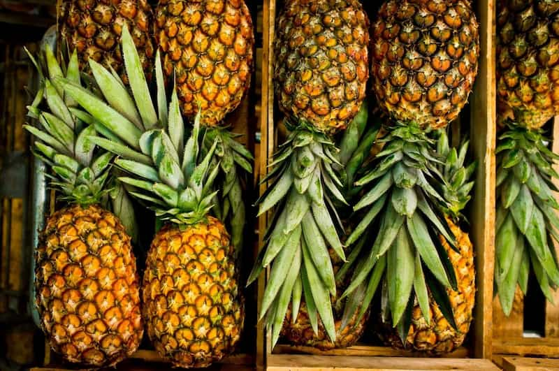  Skin of pineapple Purchase Price + Sales In Trade And Export 