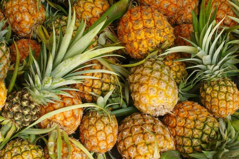  Skin of pineapple Purchase Price + Sales In Trade And Export 