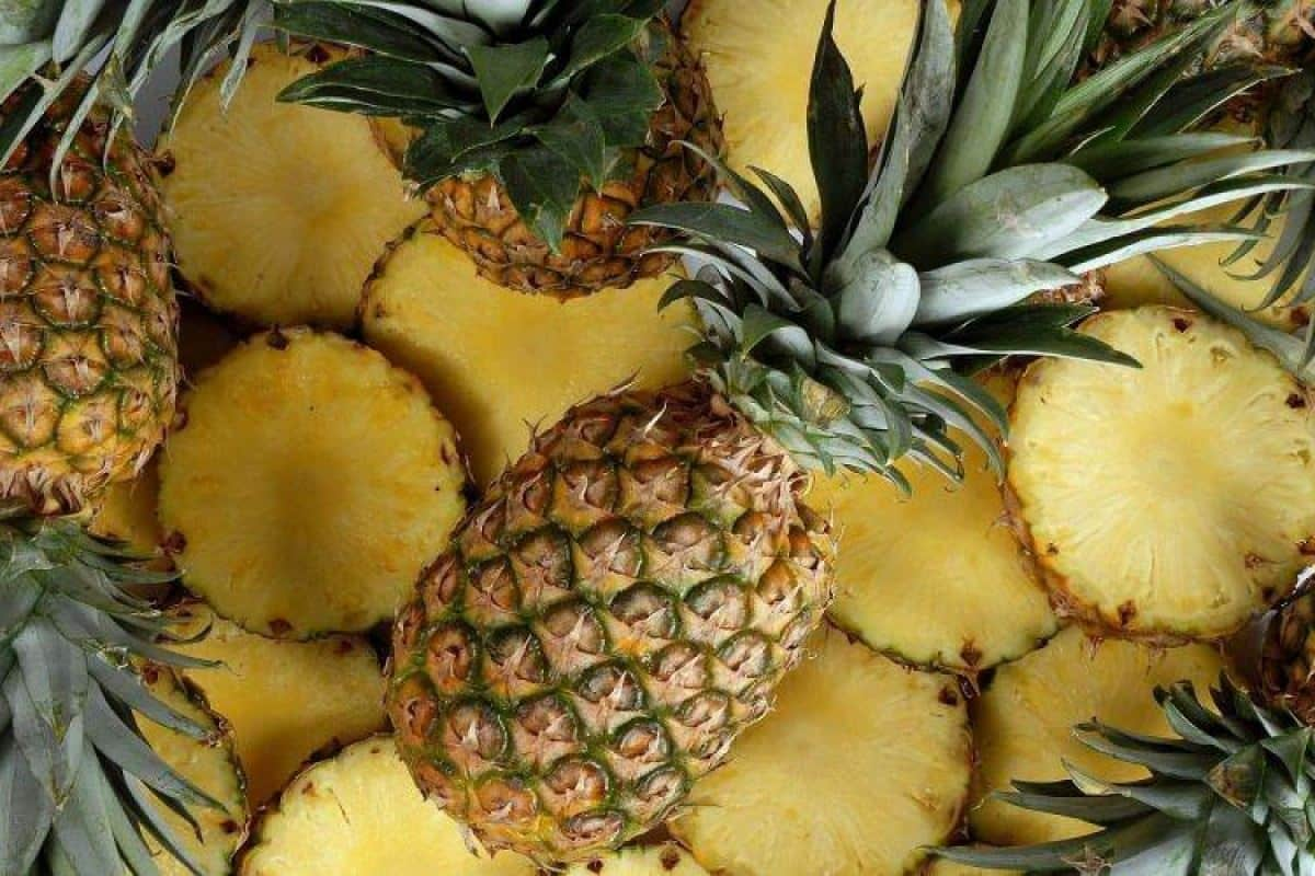  Pineapple Calories 200 400g 