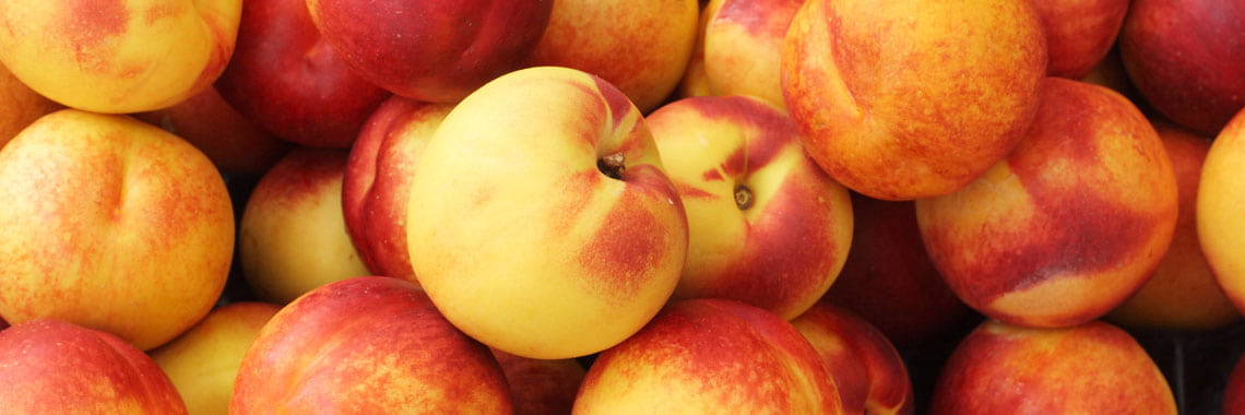  yellow nectarine purchase price + sales in trade and export 