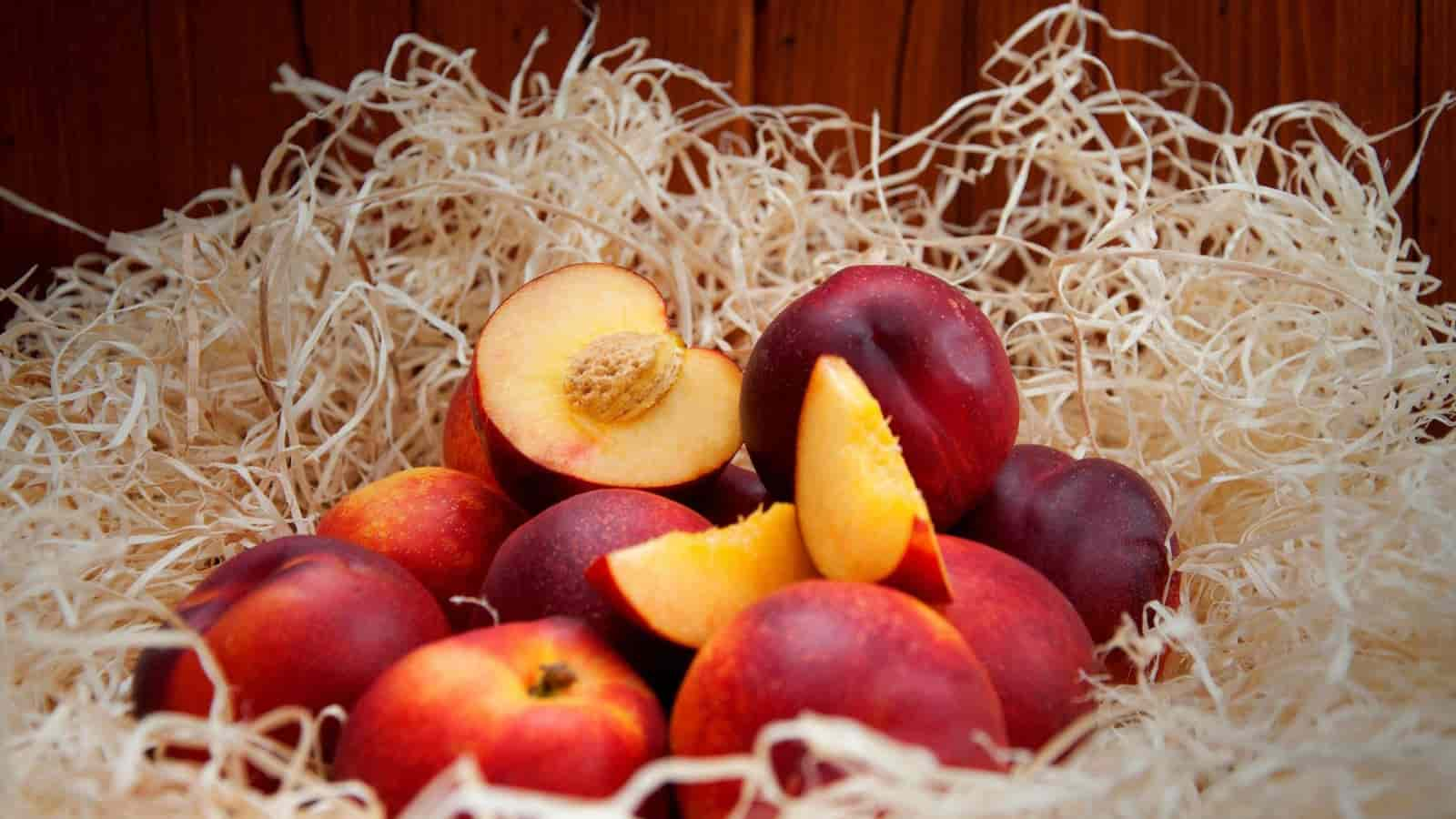  yellow nectarine purchase price + sales in trade and export 