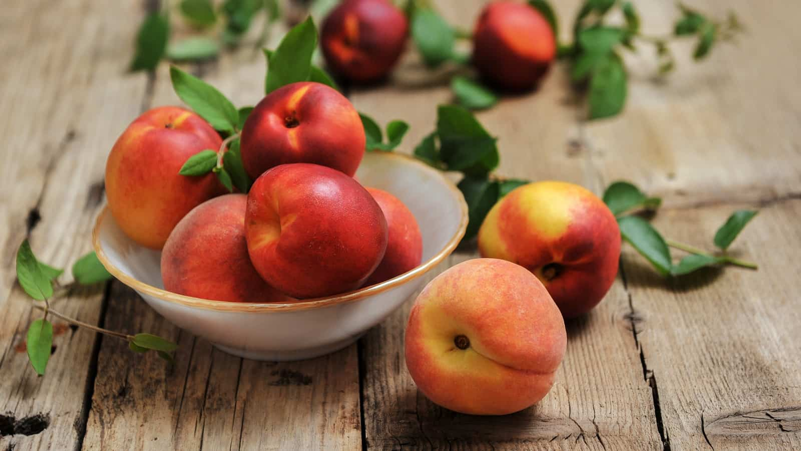  yellow nectarine purchase price + sales in trade and export 