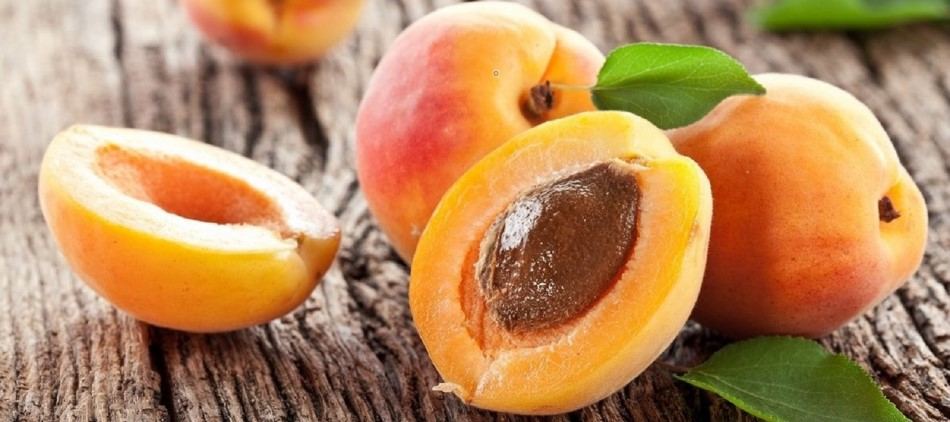  Buy dried apricot fruit Types + Price 