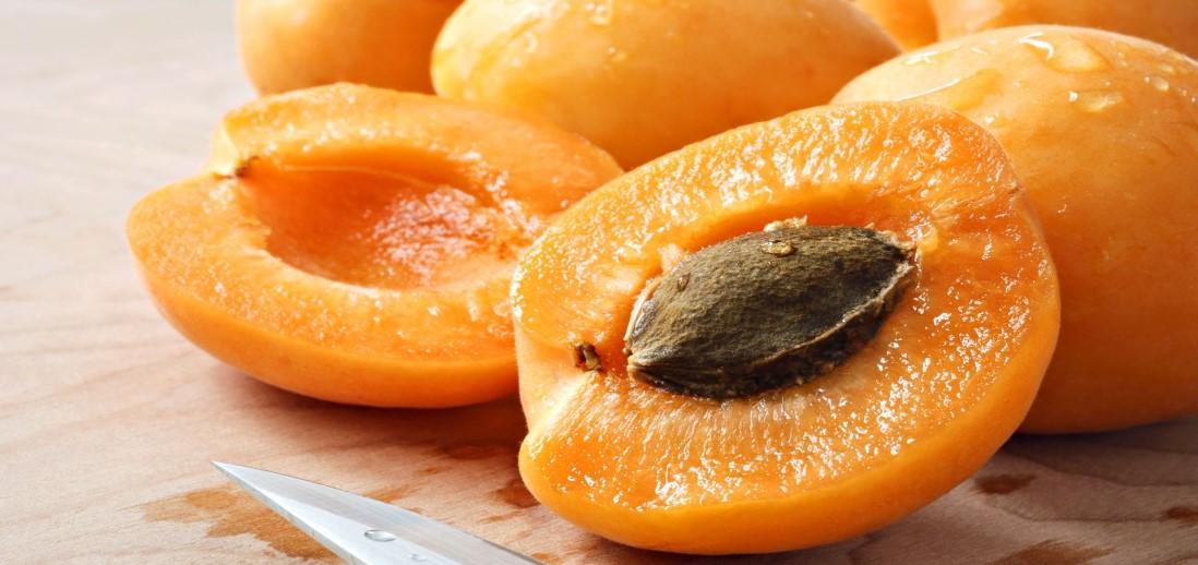  Buy dried apricot fruit Types + Price 