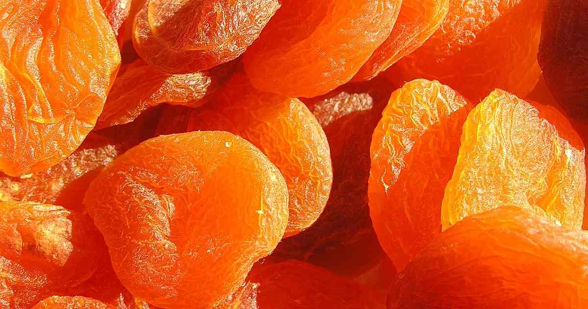  Buy dried apricot fruit Types + Price 