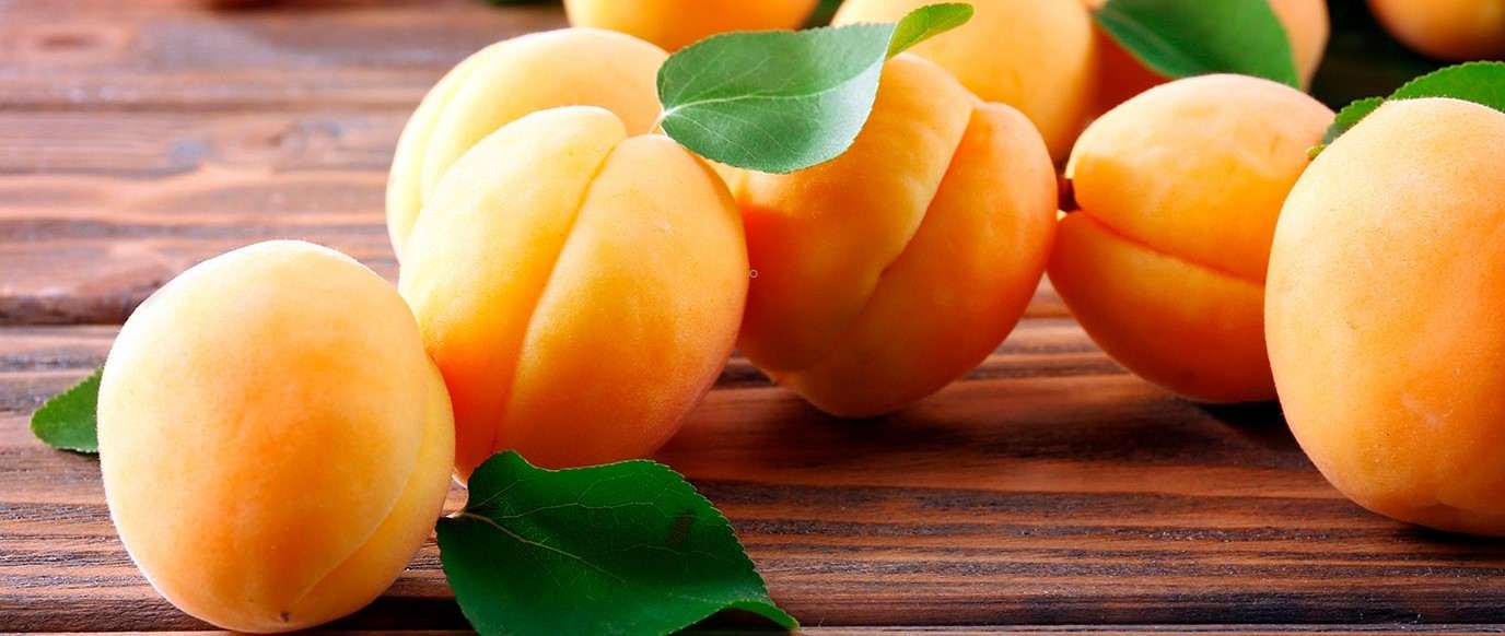  Buy dried apricot fruit Types + Price 