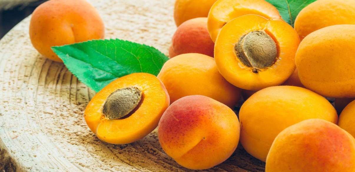  Buy dried apricot fruit Types + Price 