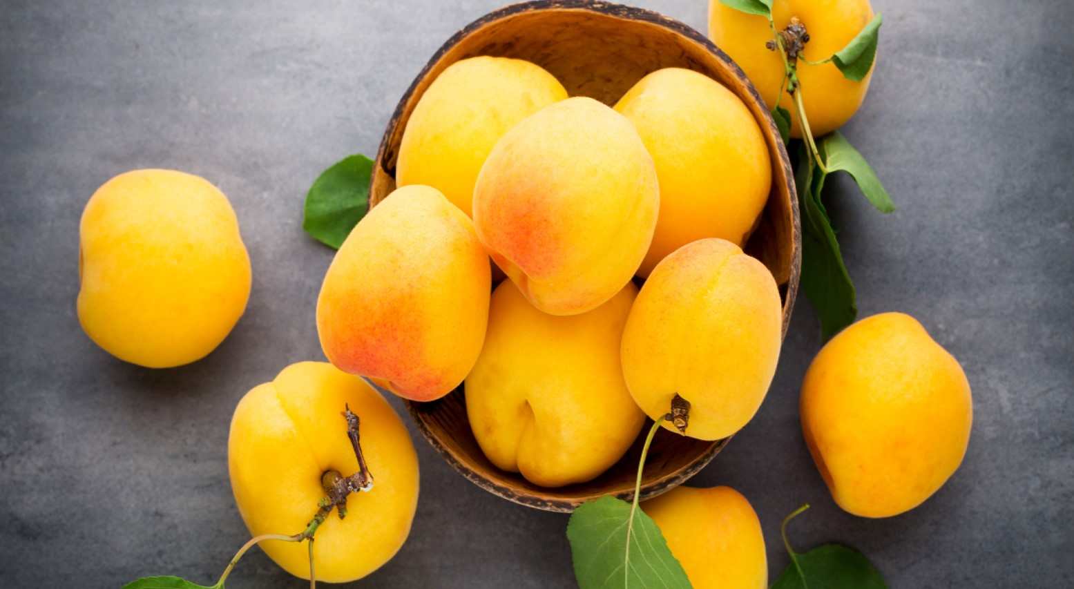  Buy dried apricot fruit Types + Price 