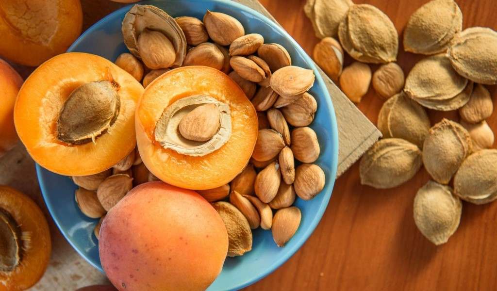  Buy dried apricot fruit Types + Price 