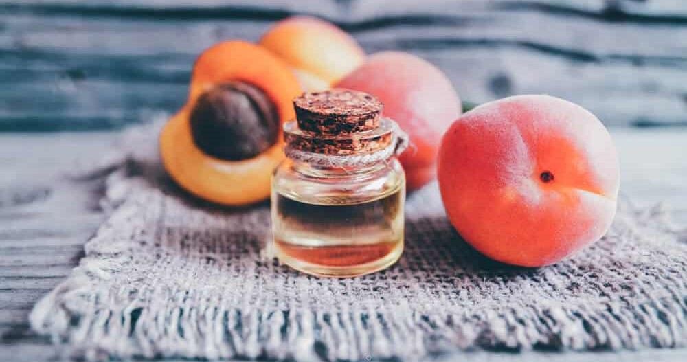  Buy dried apricot fruit Types + Price 