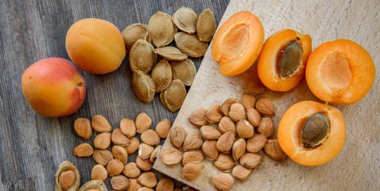  Buy dried apricot fruit Types + Price 