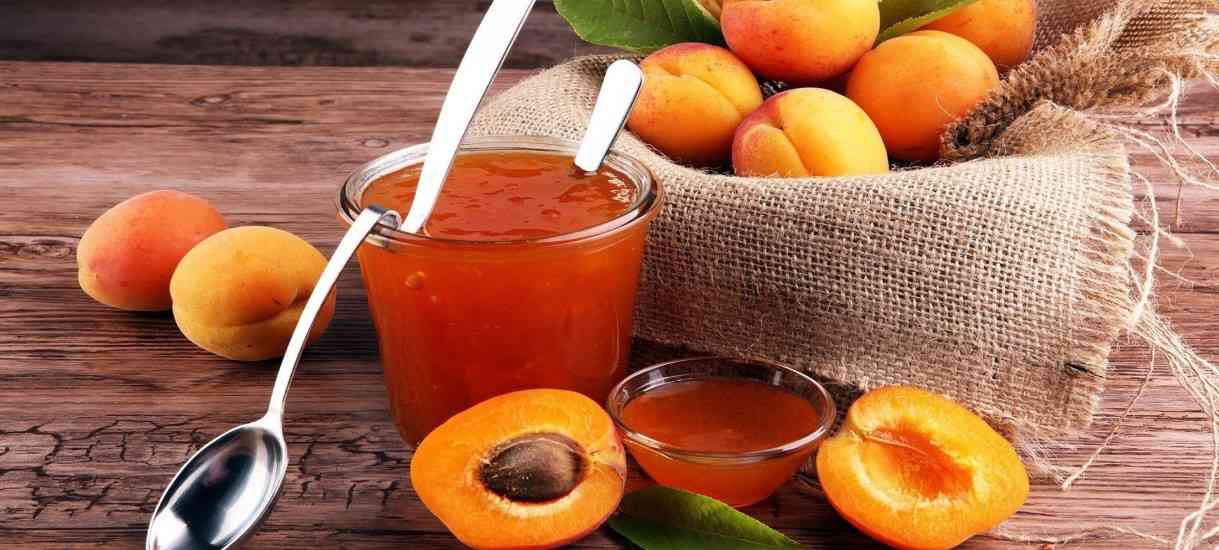  Buy dried apricot fruit Types + Price 